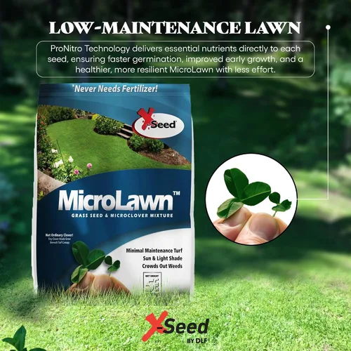Miniatura 4 de X-Seed Microlawn - Mezcla de semillas de césped y microtrébol: césped denso autoalimentable, sol y sombra, elimina las malas hierbas, alto tráfico