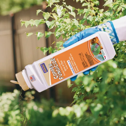 Miniatura 3 de Bonide Fungicida de Cobre, 1 lb. Aerosol o Polvo Listo para Usar para Jardinería Orgánica, Controla Enfermedades Comunes en Césped y Jardín