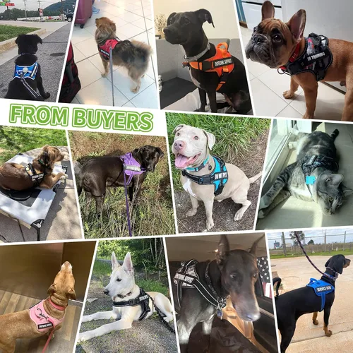 Miniatura 5 de voopet Arnés para perro de servicio, arnés de chaleco de apoyo emocional para mascotas, arnés reflectante transpirable y ajustable para perros