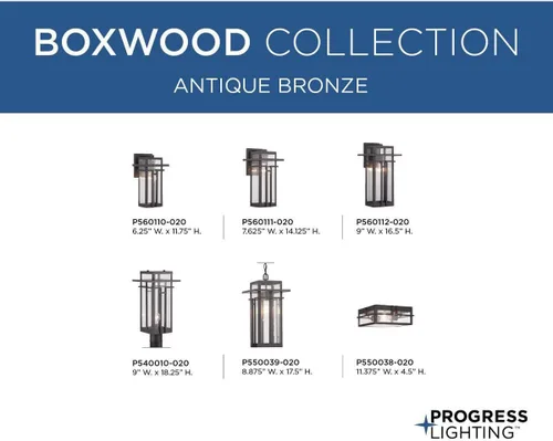 Miniatura 12 de Progress Lighting Boxwood Collection - Farol de pared pequeña de cristal transparente con semillas Craftsman, para exteriores, bronce antiguo, 11.75