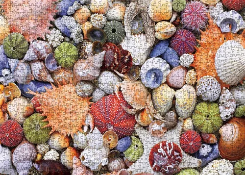 Miniatura 2 de Rompecabezas de 1000 piezas de conchas marinas coloridas, rompecabezas de playa oceánica para adultos, rompecabezas marino de 1000 piezas de Hawái