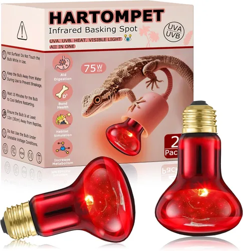 Miniatura 13 de Bombillas de lámpara de calor de reptiles de 60 W, luz de punto de calentamiento UVA de 2.5 pulgadas para dragón barbudo, lagarto, tortuga, pollitos