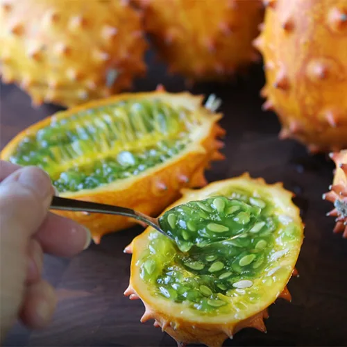 Miniatura 4 de Semillas de gelatina de melón para plantar – 30 semillas de pepino con cuernos africanos – Semillas de melón exóticas para cultivar jardín al aire