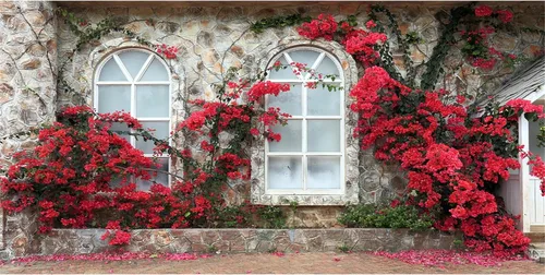 Miniatura 10 de Pared de ladrillo de 5 x 3 pies con telón de fondo floral rosa para fiesta, plantas verdes, fondo de fotos de pared, boda, dulce niña, fiesta