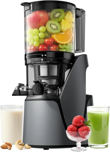 EanOruus Máquinas exprimidoras 3 en 1 de prensa en frío con canal extra grande de 6.5 pulgadas, gran capacidad de 100 onzas, motor de CA, hace jugo,