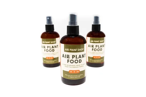 Miniatura 2 de Air Plants Fertilizante en botella de spray de niebla fina – Alimento vegetal para Tillandsia – Uso mensual para el crecimiento de plantas
