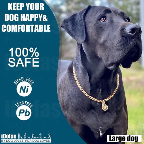Miniatura 5 de Collar dorado para perro de 0.394 pulgadas, collar de cadena de acero inoxidable resistente para perros (10 pulgadas)