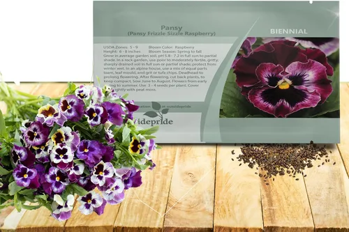 Outsidepride Frizzle Sizzle - Semillas de pensamiento de viola de frambuesa para plantar, 100 unidades. Flores bienales, resistentes al frío y aptas