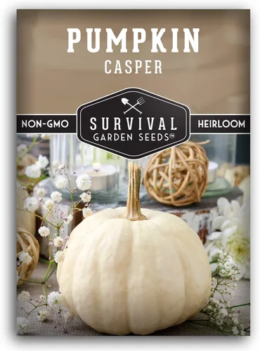 Casper - Semillas de calabaza para plantar | Calabazas blancas sin OMG con piel suave y carne dulce para decoración de otoño, tallado, horneado de