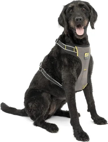 Miniatura 4 de Kurgo Arnés de automóvil para perro de impacto, arnés de automóvil para perro a prueba de choques, arnés de seguridad para perros, arnés de cinturón