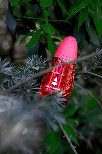 Miniatura 5 de Amber Woods por Pino Silvestre - Perfume para hombres - Aromático, amaderado y picante - Mezclado con limón, lavanda, pachulí y sándalo