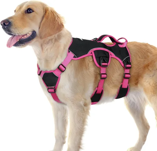 Miniatura 38 de rabbitgoo - Arnés para perro a prueba de fugas, arnés para mascotas acolchado suave de cuerpo completo, chaleco reflectante ajustable sin tirones