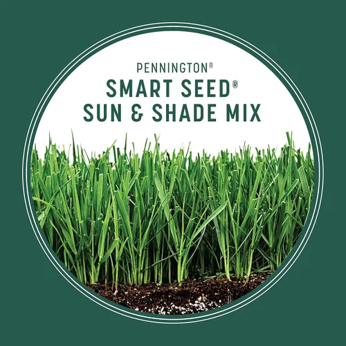 Miniatura 5 de Pennington Smart Seed - Mezcla de semillas para césped Sun and Shade 20 libras, Etiqueta Negra