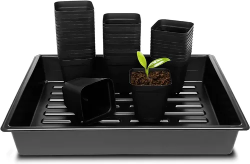 Miniatura 10 de RooTrimmer Macetas cuadradas de 3.5 pulgadas (3.5 in), 60 piezas, bandejas resistentes para plántulas, 5 piezas, bandeja de germinación
