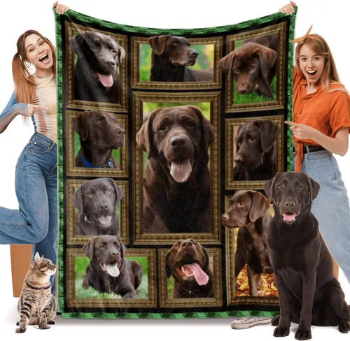 Miniatura 15 de Border Collie - Manta para niños, regalos para los amantes de los perros, 40 x 50 pulgadas, mantas para niños pequeños y bebés para sofá, cama