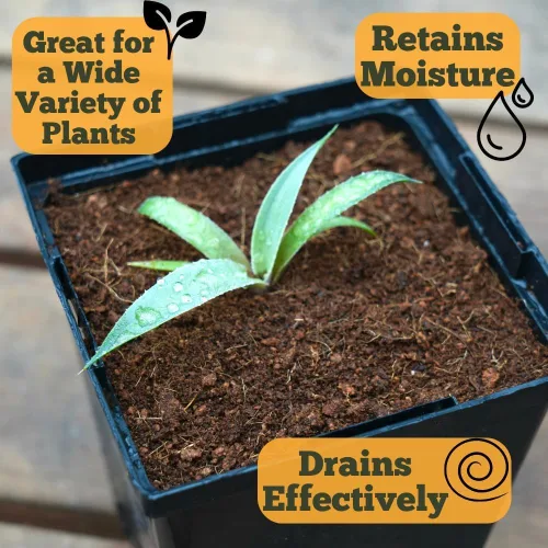 Miniatura 8 de Happy Trees Coco Coir Fibra de Coco Suelta Medio de Cultivo, Mezcla para Macetas, Inicio de Semillas, Calidad Premium, Triple Lavado para Baja