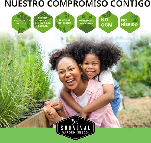 Miniatura 8 de Semillas de hierbas para té medicinal para sembrar Paquete de 9 variedades de hierbas autóctonas, sin OMG – Cultive tés herbales, remedios