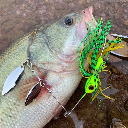 Miniatura 6 de Spinnerbait - Señuelo de pesca de metal duro, kit de cebos giratorios para lubina, trucha, lucio, salmón, lucioperca, agua dulce y salada, 5