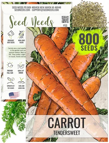 Seed Needs, Tendersweet Semillas de zanahoria – 800 semillas de reliquia para plantar Daucus carota – Cultivadas en casa sin OMG y sin tratar para