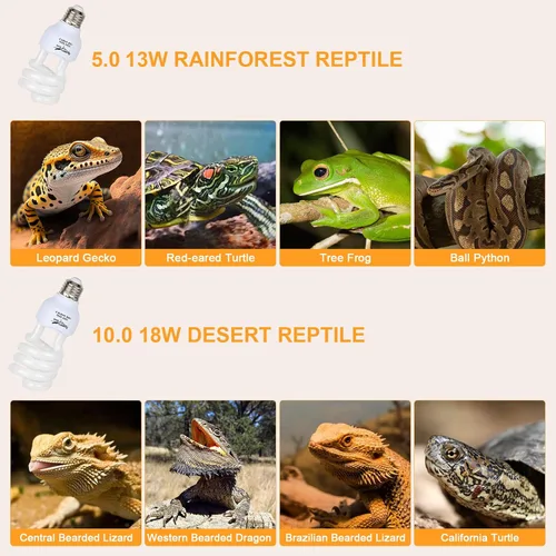 Miniatura 7 de Bombilla UVB para reptiles UVA UVB, 10.0 18 W, luz UVB para reptiles, dragones barbudos, lámpara de reptil UVA UVB para reptiles dragón barbudo