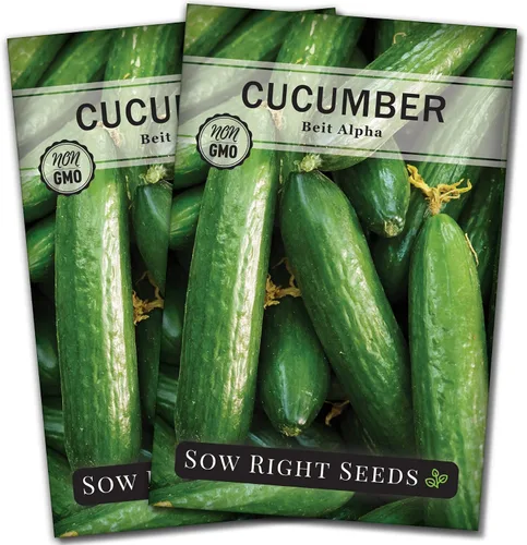Miniatura 6 de Sow Right Seeds - Semillas de pepino Beit Alpha para plantar - Paquete de reliquia sin OMG con instrucciones para plantar y cultivar un huerto