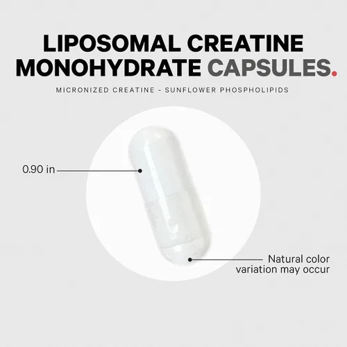 Miniatura 7 de Codeage Suplemento de monohidrato de creatina liposomal, creatina pura de 2500 mg – suministro de 3 meses, micronizada, músculos de creatinina