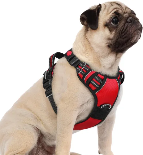 Miniatura 38 de rabbitgoo Arnés para perro de tamaño pequeño, chaleco para perro sin tirones con 3 hebillas, arnés ajustable y acolchado suave para mascotas con asa