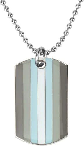 Collar LGBT con colgante de etiquetas de perro del orgullo del arco iris del progreso