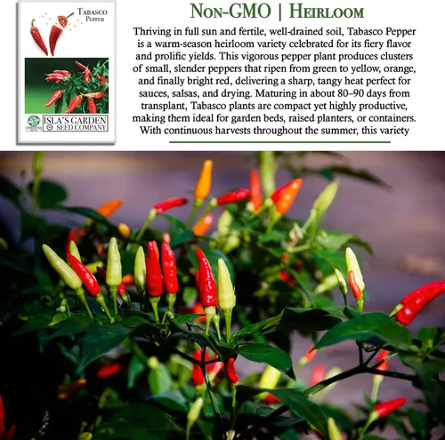 Miniatura 3 de Semillas de chile rojo vivo "Tabasco" para plantar, más de 50 semillas tradicionales por paquete, semillas de jardín de Isla