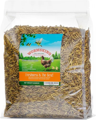 Miniatura 9 de WORMSKING Gusanos secos de harina de 2 libras para aves de corral, aves silvestres, sabrosa comida para pájaros
