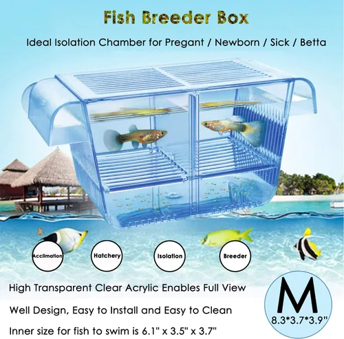 Miniatura 8 de capetsma Caja de Cría de Peces, Caja de Aislamiento de Peces de Acrílico con Ventosas, Incubadora de Vivero de Aclimatación de Acuario para Peces