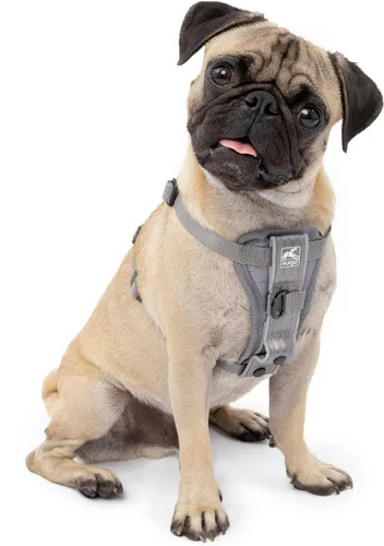 Miniatura 13 de Kurgo Tru-Fit - Arnés inteligente para caminar para perros, ajuste cómodo, arnés ajustable, reflectante para mascotas, liberación rápida
