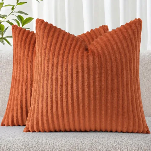 Simmore Juego de 2 fundas de almohada decorativas de 16 x 16 pulgadas, fundas de almohada suaves de franela de felpa natural de doble cara para sofá