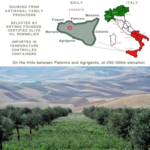 Miniatura 5 de Entimio Ardente Aceite de Oliva Virgen Extra Italiano Orgánico de Italia, Más de 600 mg/kg Alto en Polifenoles, Ganador de Oro 2025, Aceite de Oliva