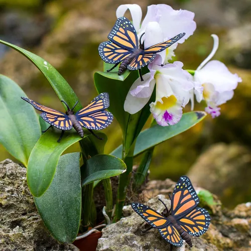 Miniatura 4 de Safari Ltd. Figura de mariposa monarca, figura realista de insectos de 4.5 pulgadas, juguete educativo para niños, niñas y niños a partir de 3 años