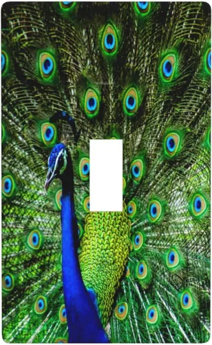 Miniatura 14 de Cubierta decorativa para toma de corriente de pavo real, cubierta de salida de 1 banda, cubierta de placa de interruptor de luz, placas de 1