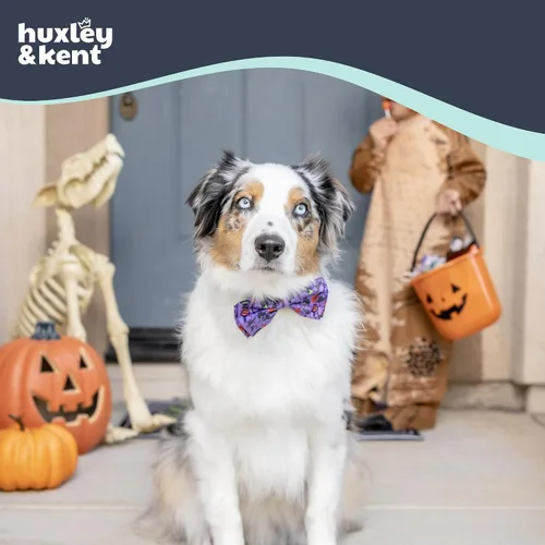 Miniatura 4 de Huxley & Kent Pajarita para mascotas para perros y gatos – Accesorio ajustable para collar de gancho y bucle de Halloween – Lindo y cómodo