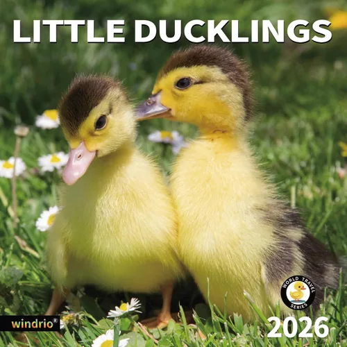 Miniatura 10 de Calendario de Pared 2026, Calendario 2026, Noviembre 2025 - Diciembre 2026, Calendario de Pared de Animales Bebés, 12" x 24" Abierto, Meses