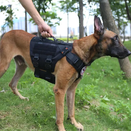 Miniatura 3 de ICEFANG GN3 - Arnés táctico para perros con 6 hebillas, chaleco Molle para perro con asa, cobertura de 3/4 del cuerpo, panel de gancho y bucle