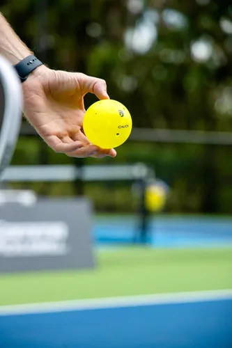 Miniatura 10 de GAMMA Chuck Pickleballs para jugar al aire libre, diseño simétrico de 38 agujeros, bola oficial de DUPR y NPL, aprobada por USAPA para juego