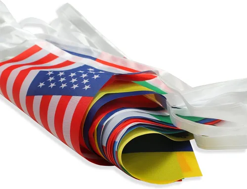 Miniatura 4 de ZXvZYT Bandera de América Latina con 21 países, banderín para colgar en español, banderín para decoración nacional de aula, escuela, deportes