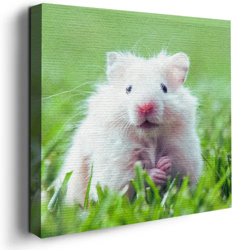 Miniatura 32 de Mavis Print - Lienzo decorativo para pared con diseño de conejo/conejo, 36 x 36 pulgadas, decoración de pared de animales impresos en HD y marco