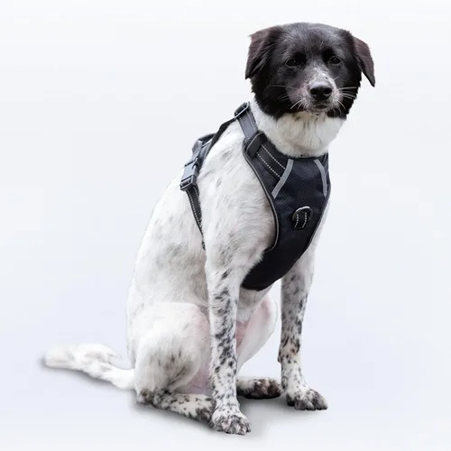 Miniatura 34 de Arnés antitirones para perro pequeño con 2 hebillas de liberación rápida y mango de fácil control, chaleco suave reflectante sin estrangulamiento