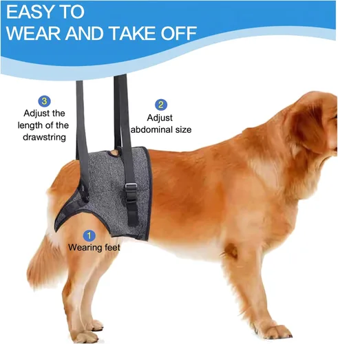 Miniatura 7 de Arnés de elevación para perros para patas traseras, soporte resistente para perros, soporte de cadera para caninos grandes y medianos, ayudante