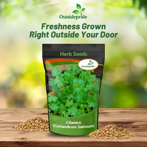 Miniatura 4 de Outsidepride Semillas anuales de jardín de hierbas de cilantro cilantro para microverdes, brotes y cocina de 1 oz