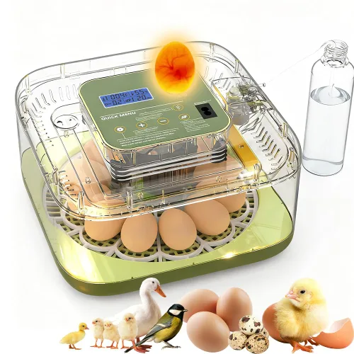 XOTTI Incubadora para incubar huevos, 12 incubadoras de huevos con control de temperatura y humedad, girador automático, vela, visualización de 360°