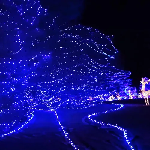 Miniatura 6 de Dazzle Bright - Guirnalda de luces de Navidad para exteriores, 1000 luces LED de 328 pies, enchufe de luz de hada con control remoto, 8 modos