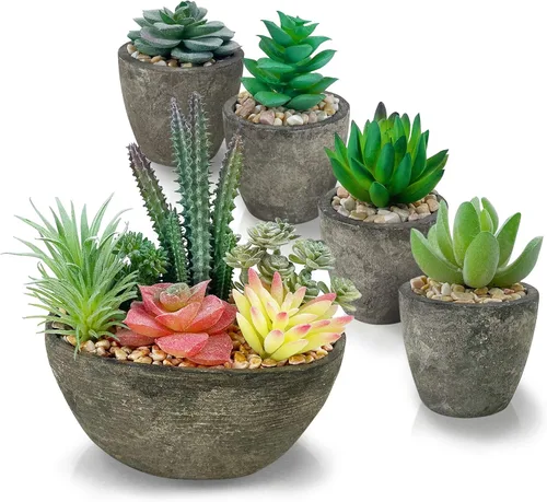 Juego de 5 plantas suculentas, suculentas artificiales realistas con macetas de cemento para decoración de oficina en el hogar