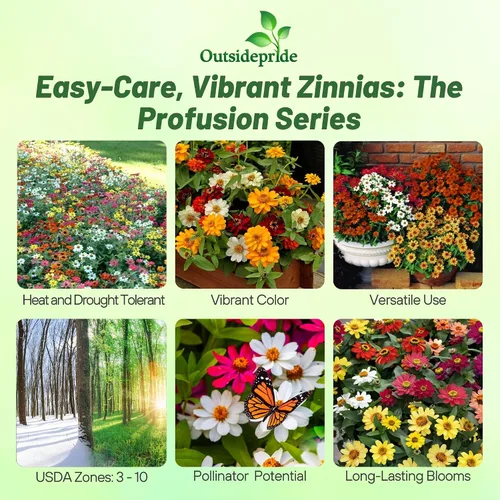 Miniatura 2 de Outsidepride - Zinnia, 25 semillas anuales, Hybrida Profusion Double, flores para plantar