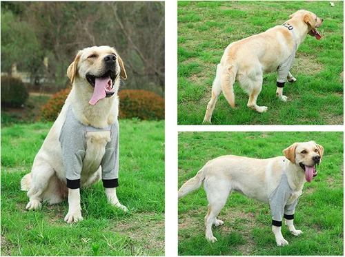 Miniatura 7 de Dog Elbow Protector, Front Leg Braces with Breathable Cotton Pad and Adjustable Buckles, for Medium Large Dogs Prevent Licking Wound and Joint